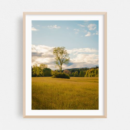 Easthampton Rural 03