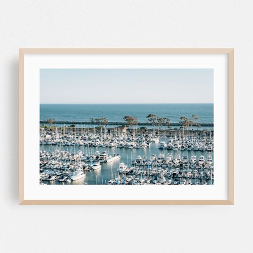 Dana Point Harbor