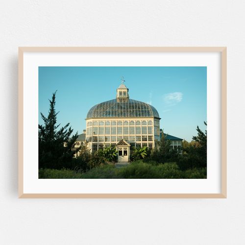 Rawlings Conservatory, Baltimore 05
