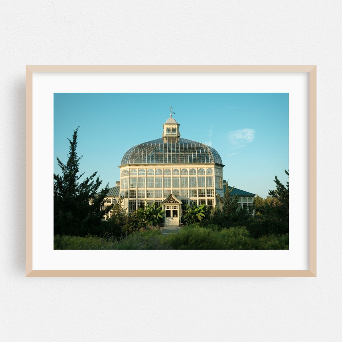 Rawlings Conservatory, Baltimore 05 – image 1 of 6