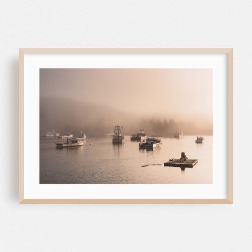 Fog in Cutler 01