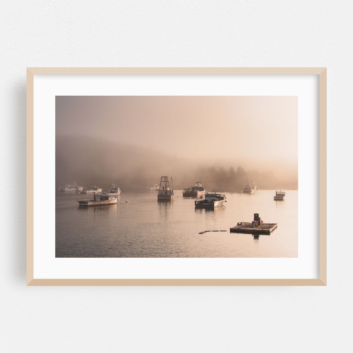 Fog in Cutler 01 – image 1 of 6
