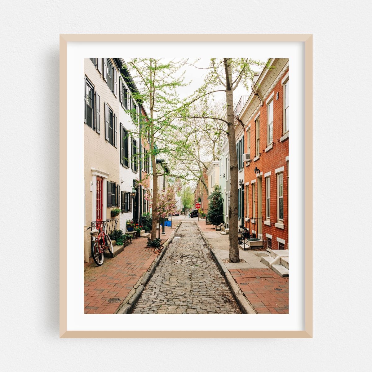 Panama Street, Philadelphia 01 – image 1 of 12