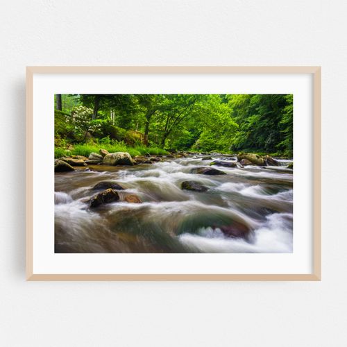 Raven Fork Cascades 03