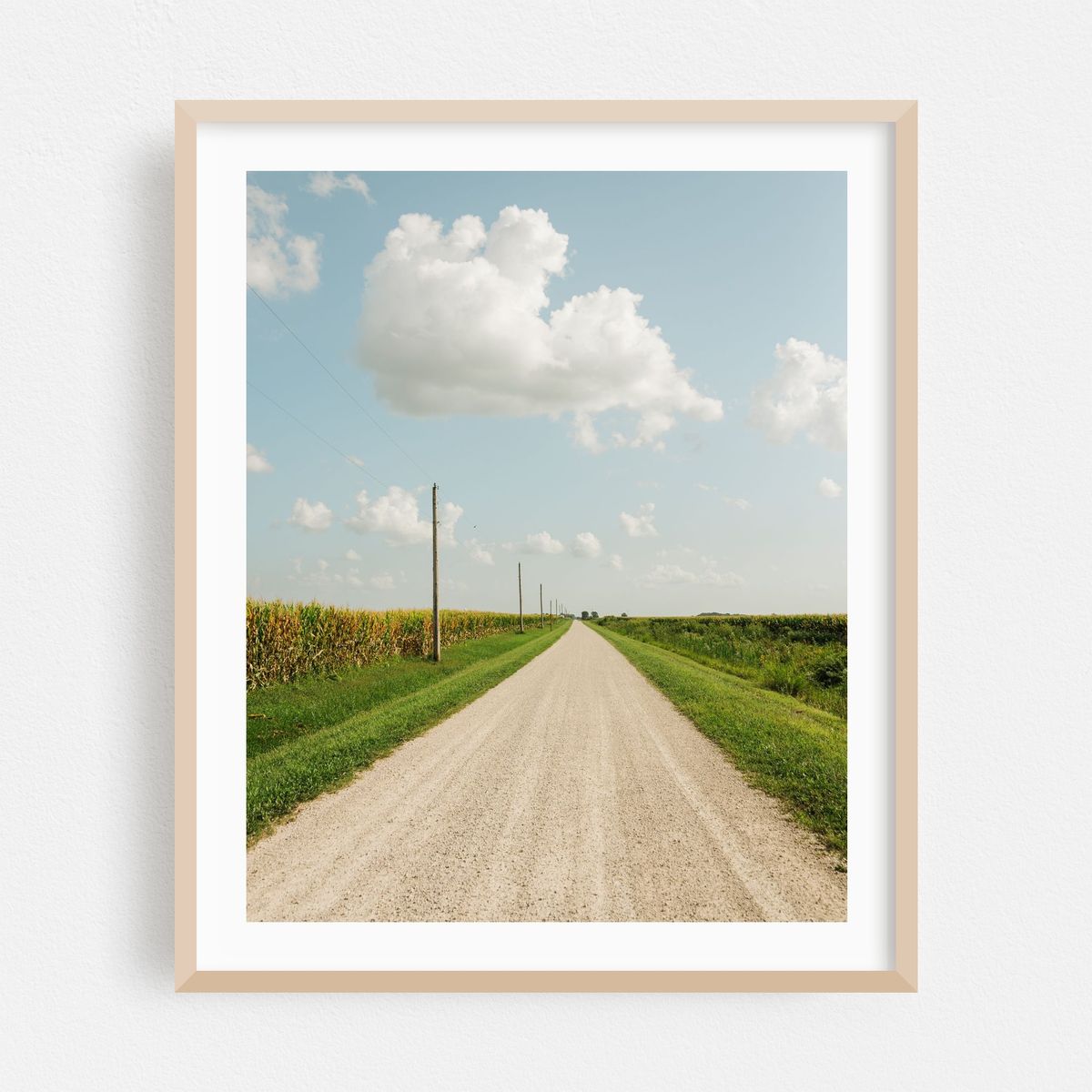 Dirt Road, Illinois 03 – image 1 of 12