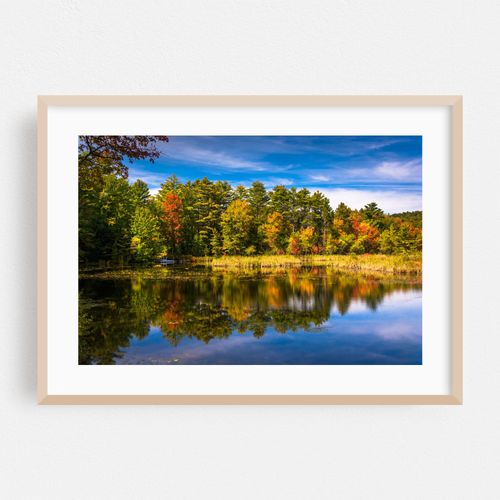North Pond 02