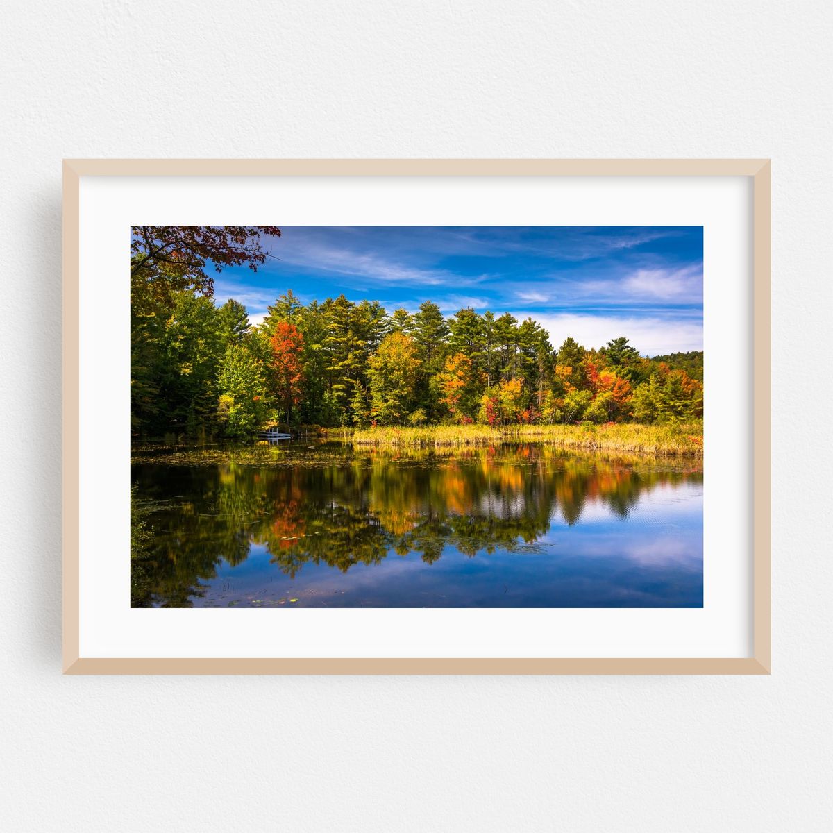 North Pond 02 – image 1 of 6