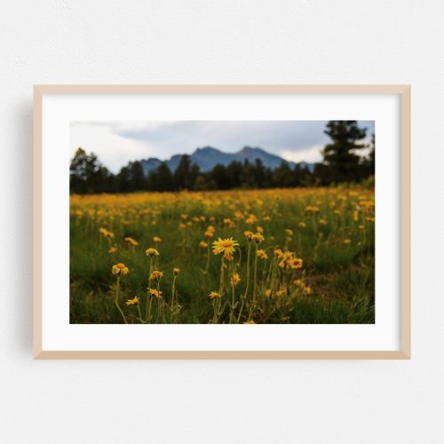 Flatirons Vista VI