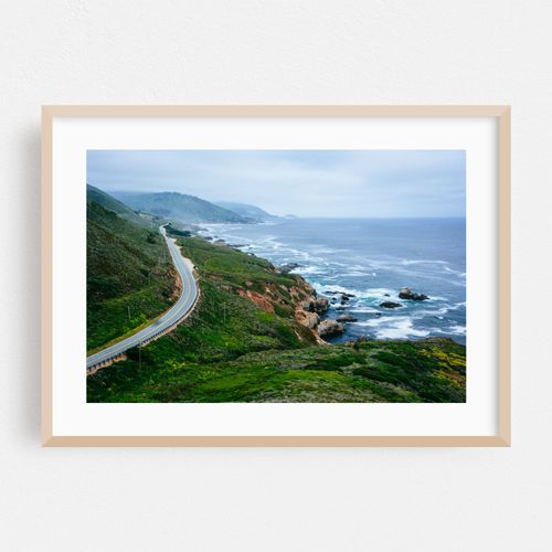 Greenery Along The PCH