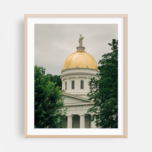 Vermont State House 02