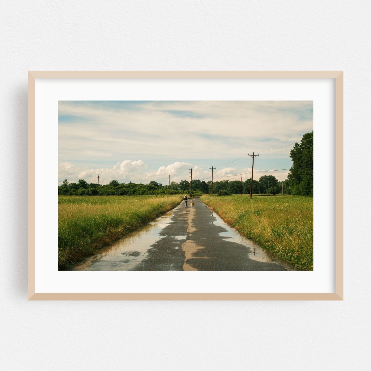 After the Rain – image 1 of 6