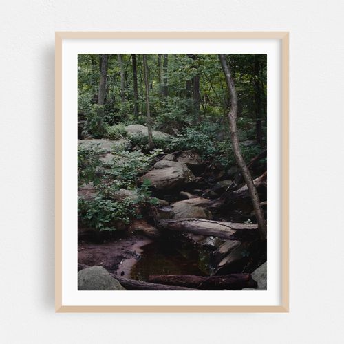 Bay Circuit Forest 07