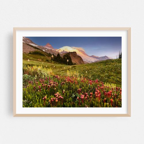 Summerland Sunrise, Mt. Rainier National Park
