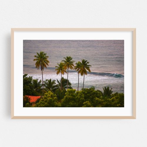 Postcard From Puerto Rico