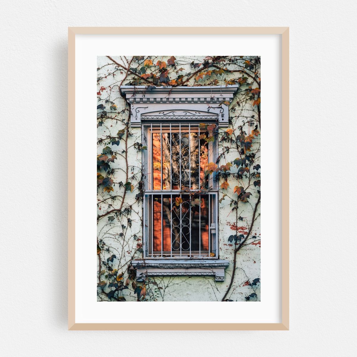 Autumn Glow – image 1 of 16