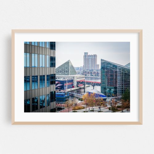 The National Aquarium