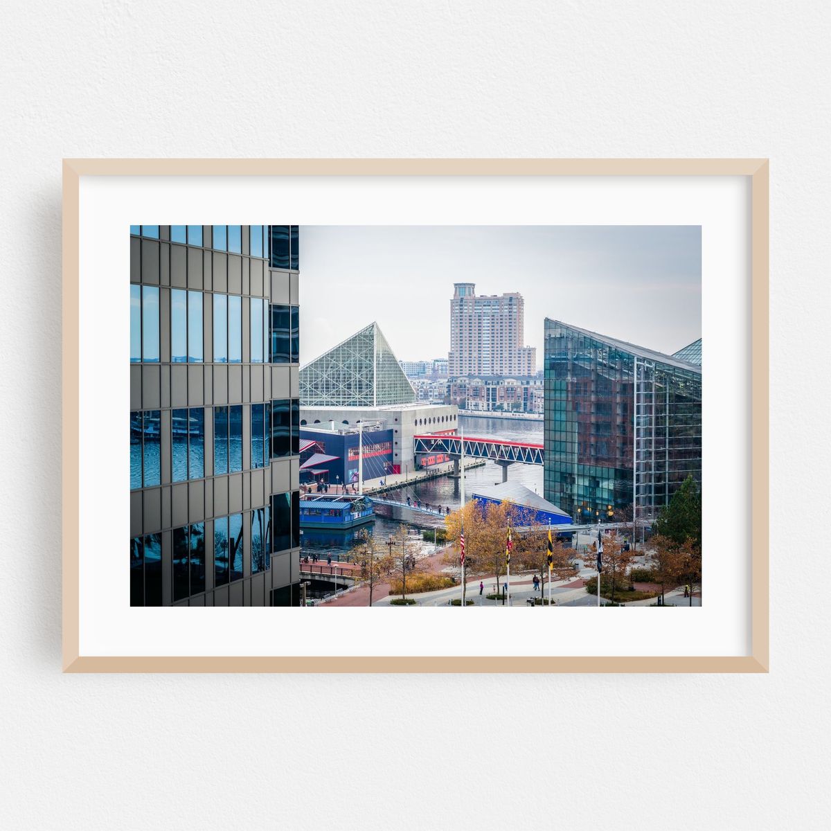 The National Aquarium – image 1 of 6