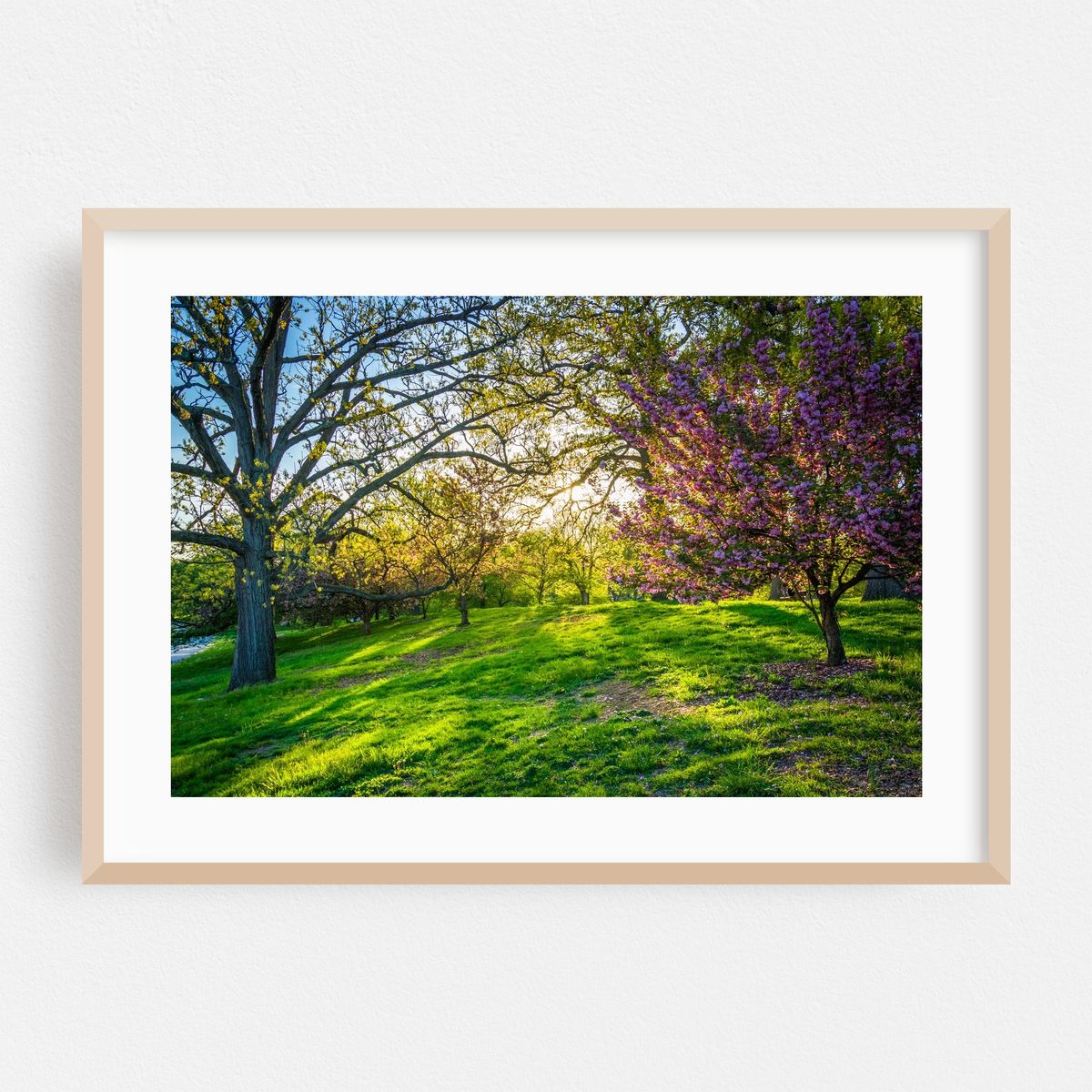 Daybreak – image 1 of 6