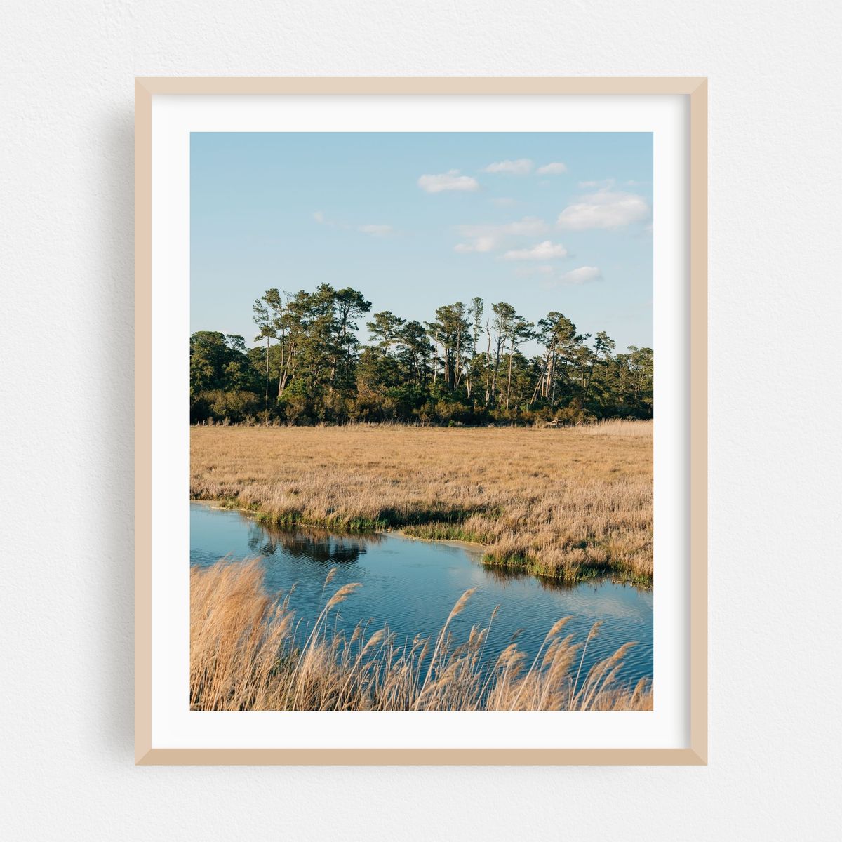 Chincoteague Marsh 02 – image 1 of 12