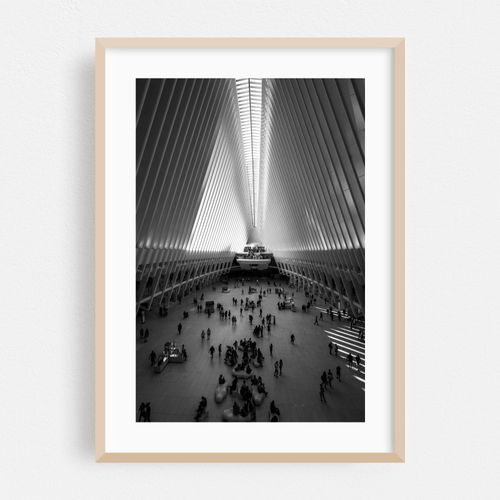 Oculus 01