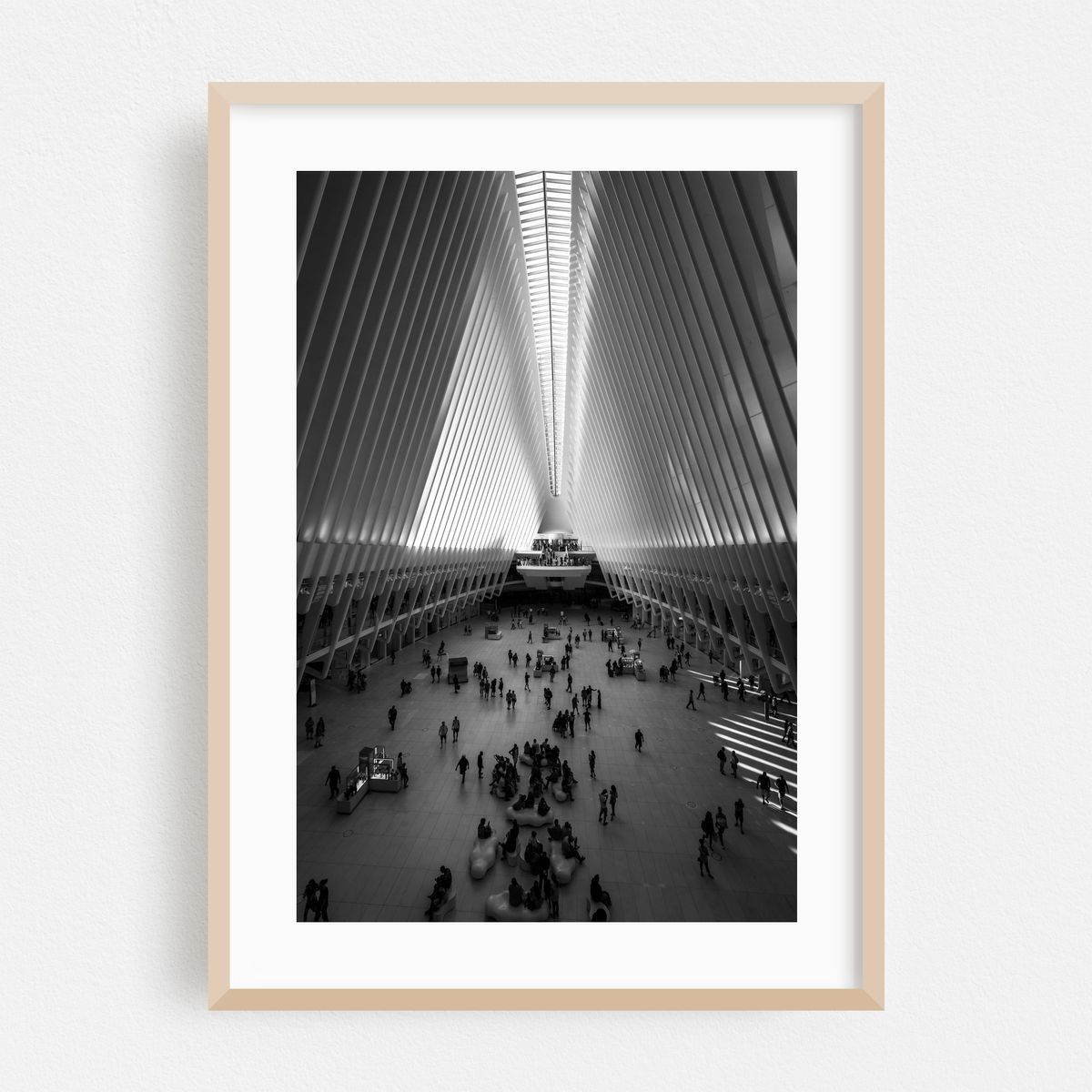 Oculus 01 – image 1 of 16