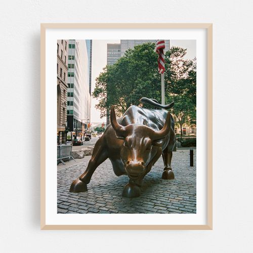 Charging Bull