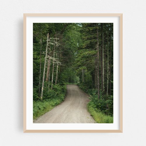 Old Cherry Mountain Road 04