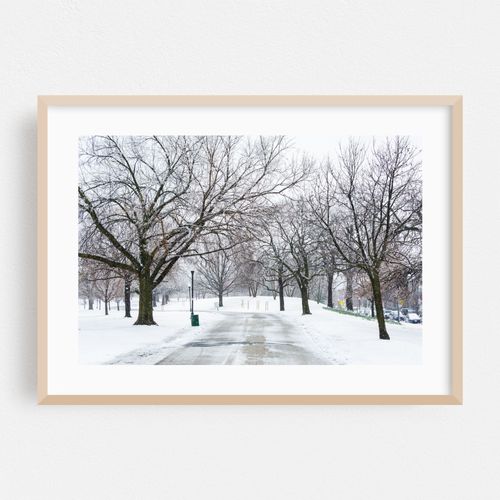 Snowy Walkway