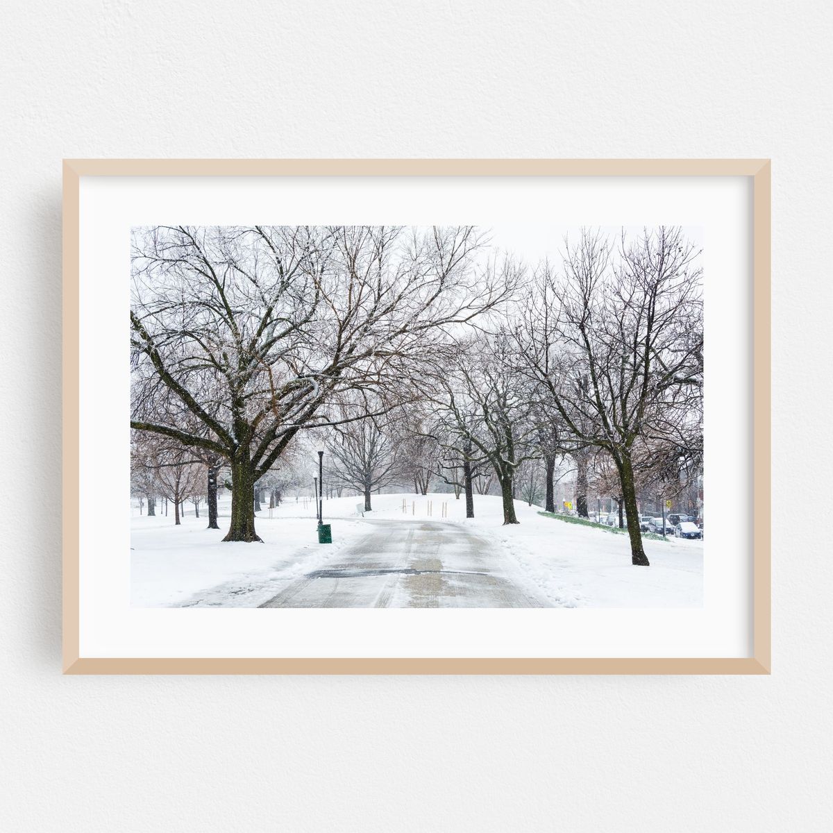 Snowy Walkway – image 1 of 6