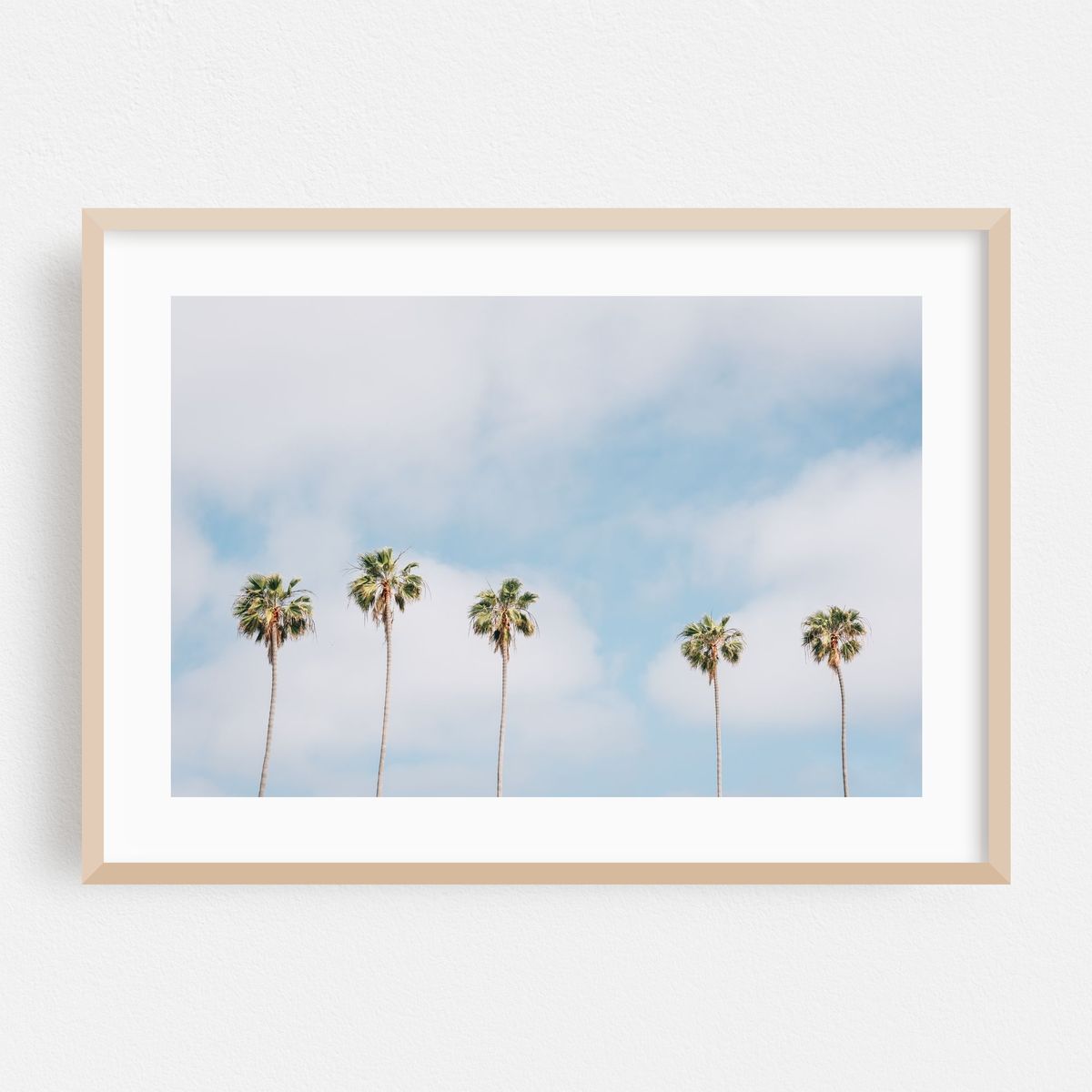 La Jolla Palms 01 – image 1 of 9