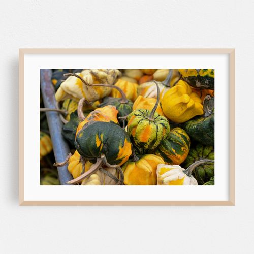 numerous colorful small squash 05