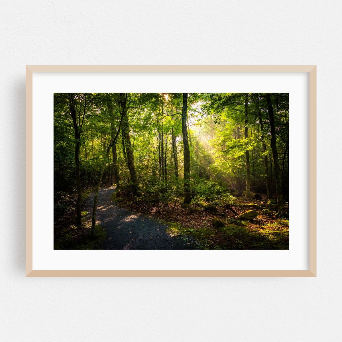 Limberlost Trail 01 – image 1 of 6