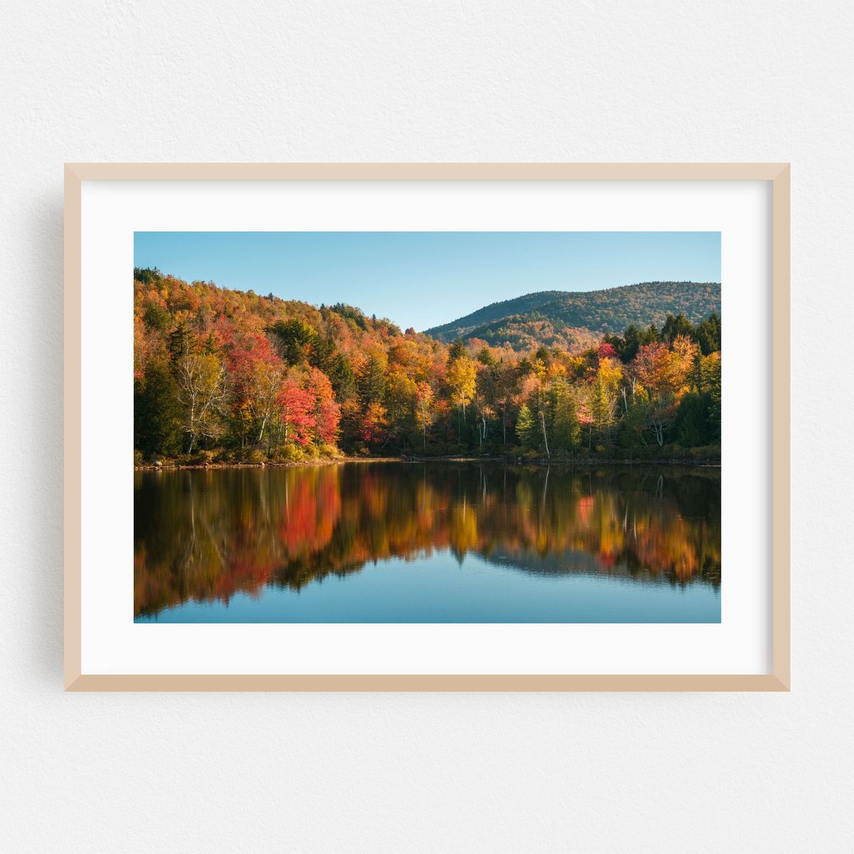 Autumn Color on Tupper Lake 03 – image 1 of 6