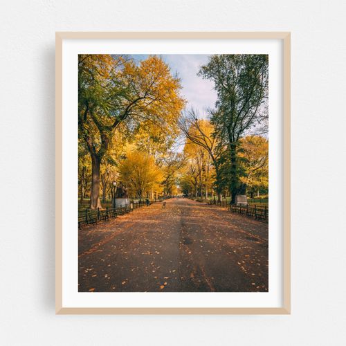 The Mall, Central Park 02
