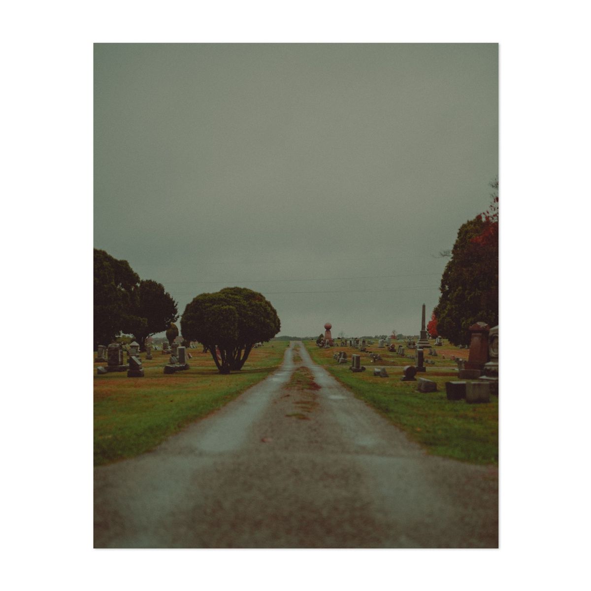 Night of the Living Dead Cemetery 04 – image 1 of 2