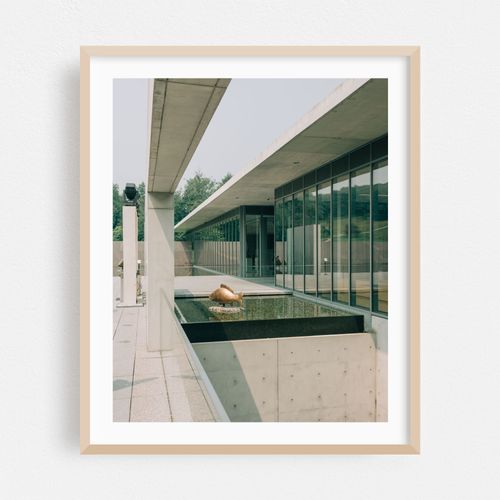 Clark Art Institute 01