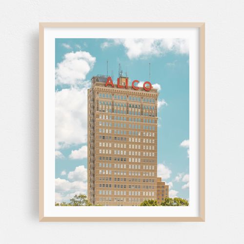 Alico Building 01
