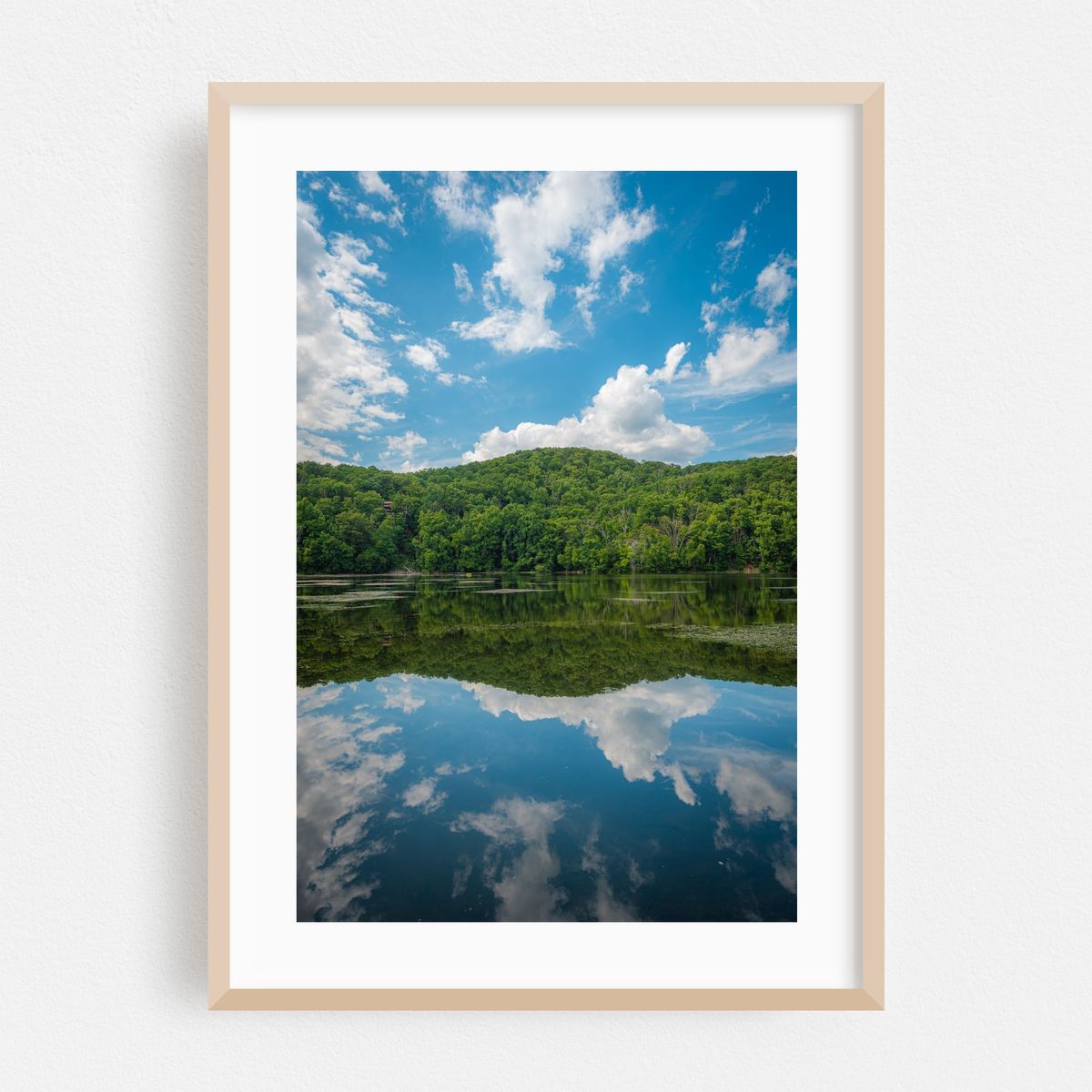 Brooks Lake Reflections – image 1 of 16