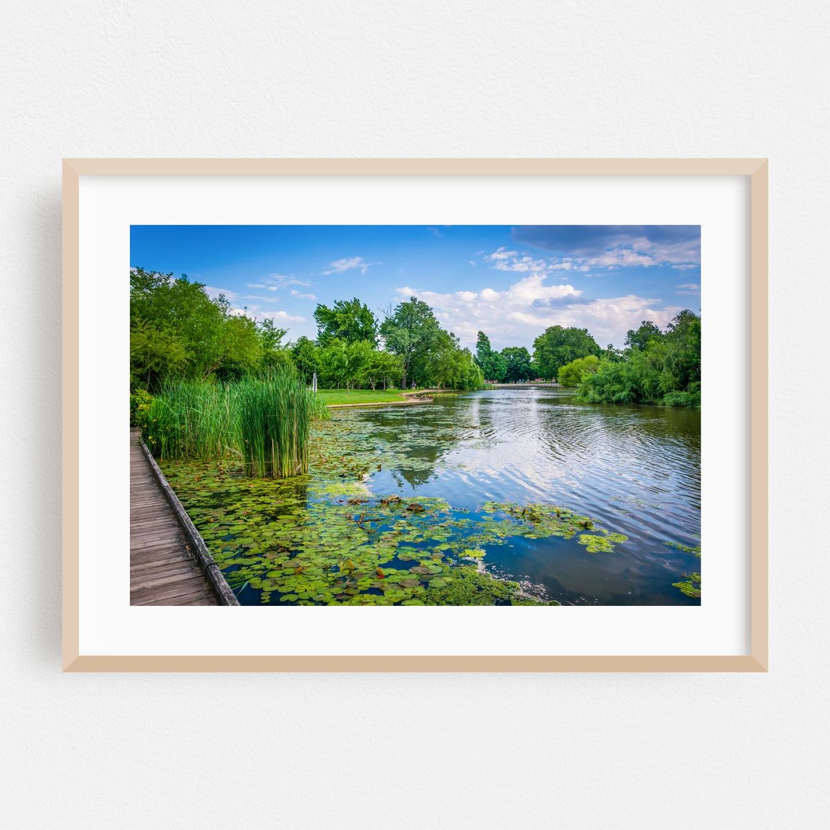 The Pond – image 1 of 6