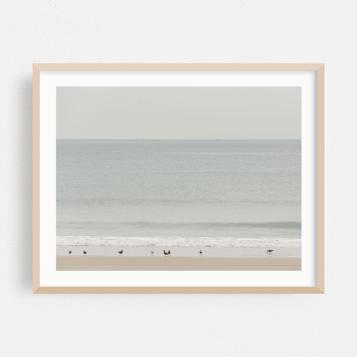 Seagulls at the Rockaways – image 1 of 3
