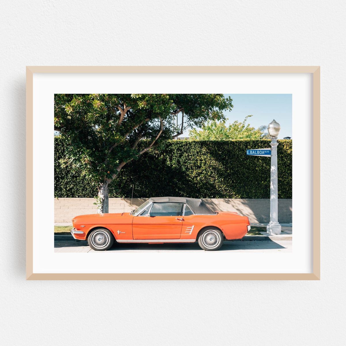 Mustang on Balboa – image 1 of 6