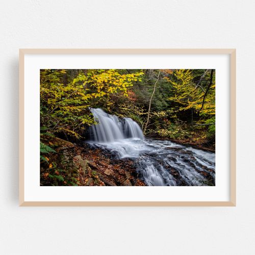 Ricketts Glen State Park
