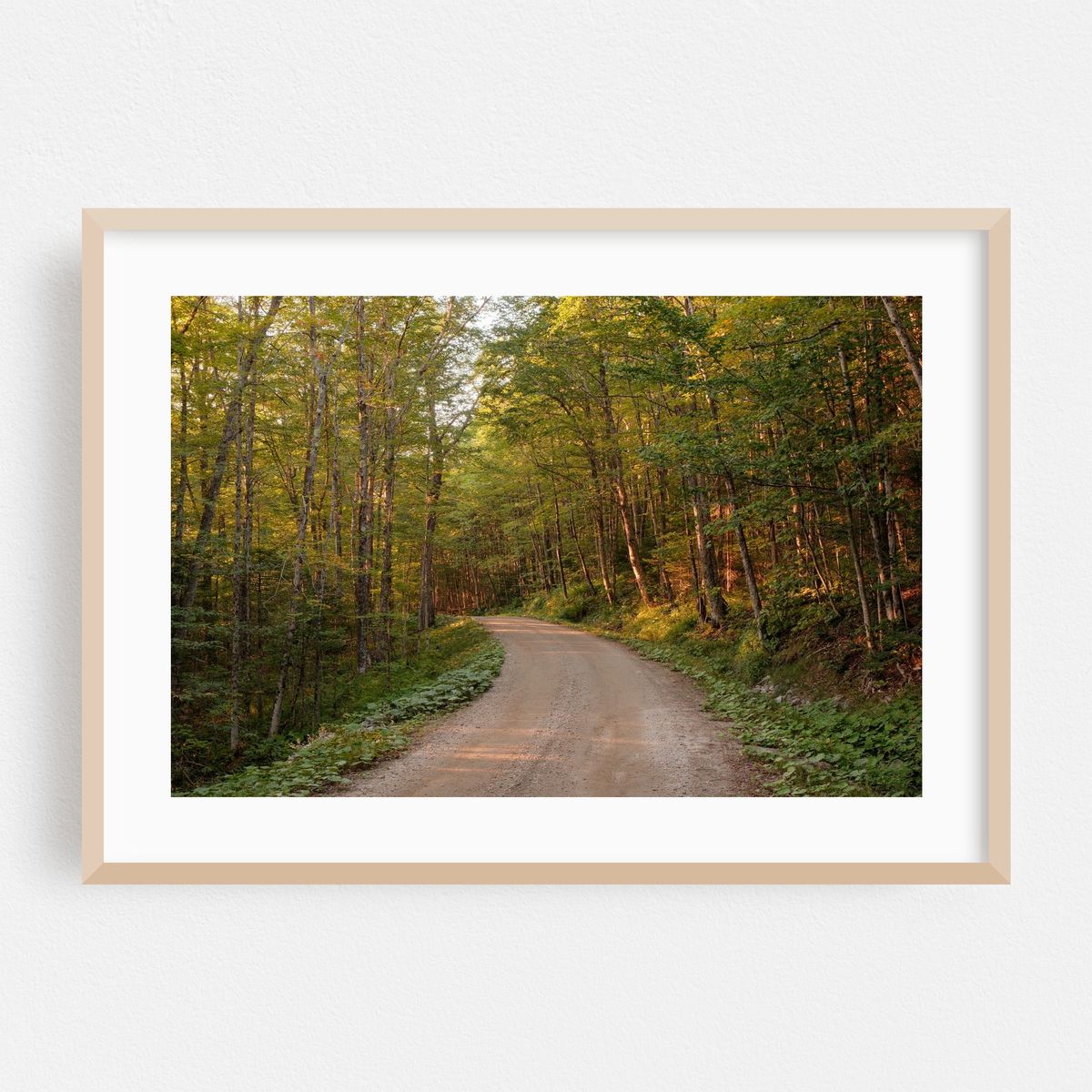 Long Pond Road, Westmore – image 1 of 6