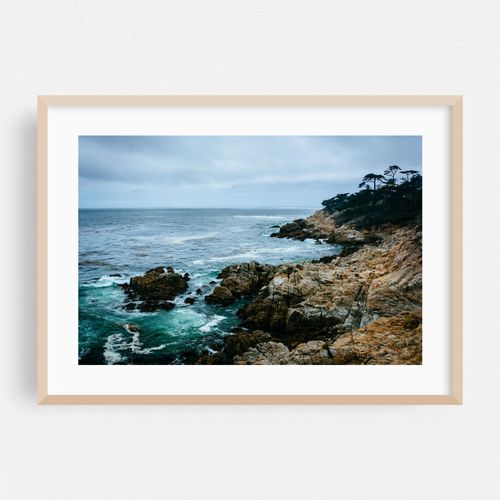 The Pacific from 17 Mile Drive