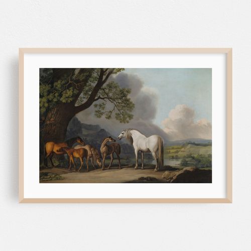 Mares and Foals in an extensive landscape