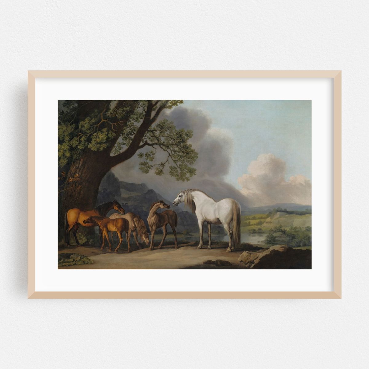 Mares and Foals in an extensive landscape – image 1 of 6