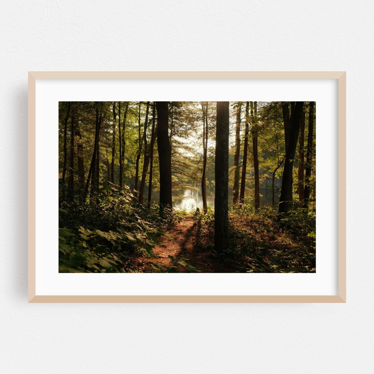 In the Woods at Puffers Pond, Amherst 02 – image 1 of 6
