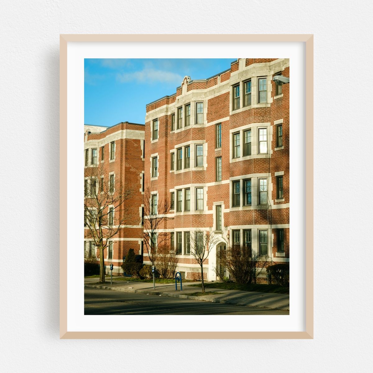 On Elmwood, Buffalo – image 1 of 12