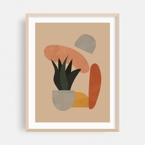 Boho Botanical Succulent Plant