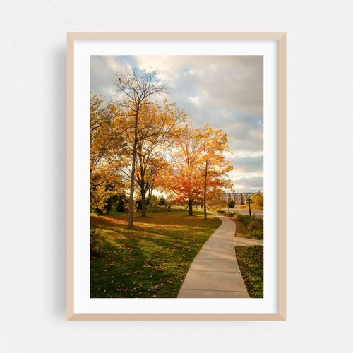 Autumn at Richardson Olmsted Campus, Buffalo